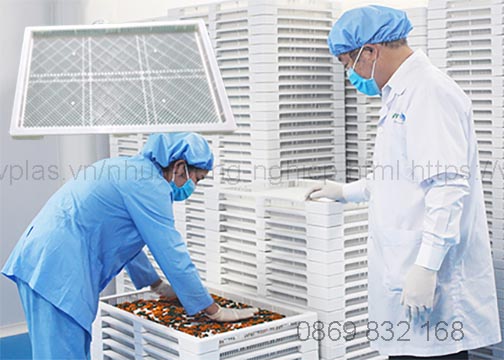 Khay sấy chịu nhiệt 